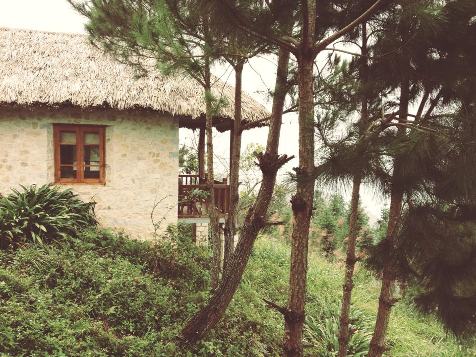 Ecolodge của bọn mình xinh đẹp giữa rừng thông