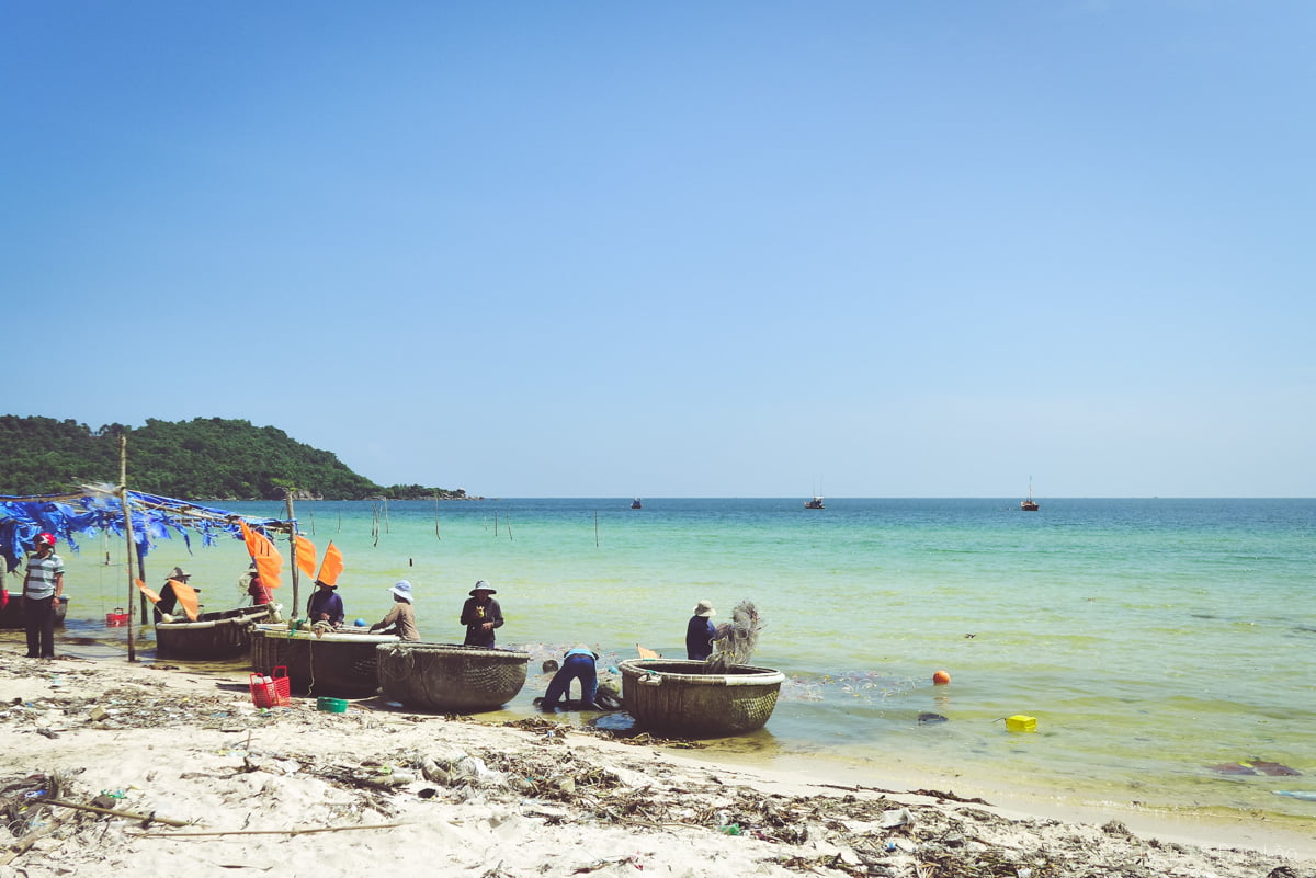 Hải sản tươi ngon vừa được ngư dân bắt lên