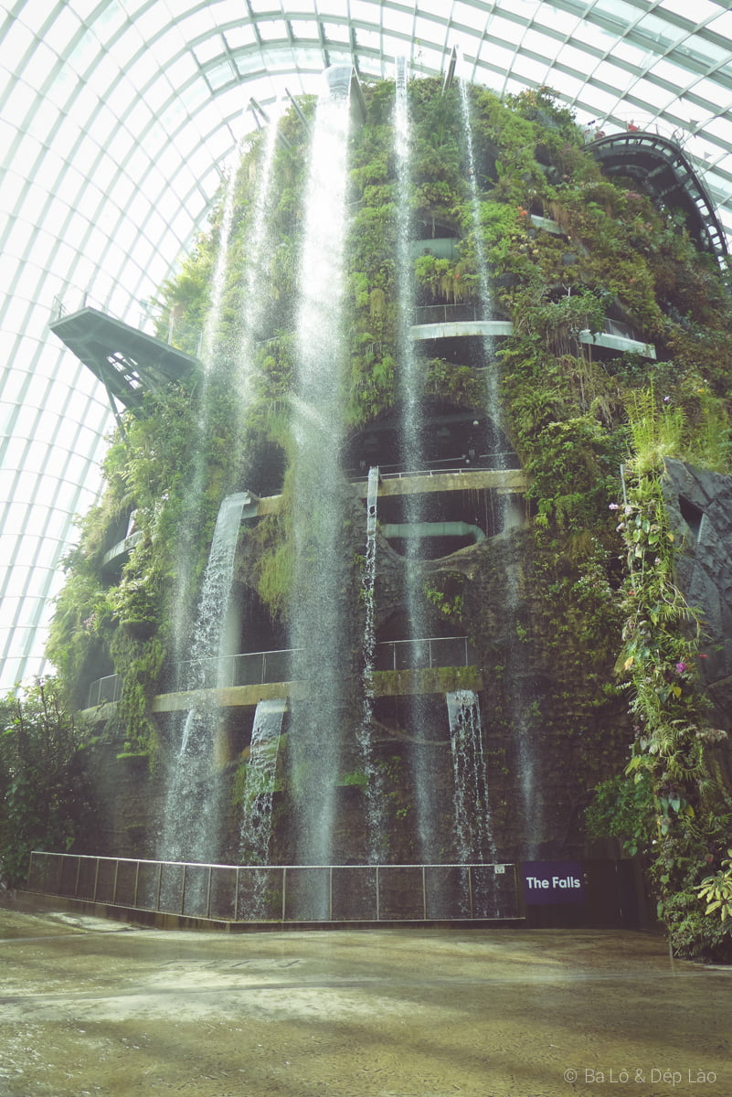Cloud Forest