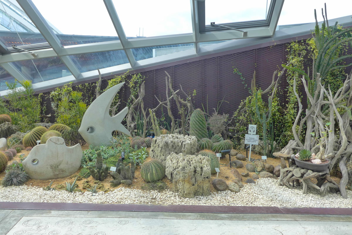 Flower Dome