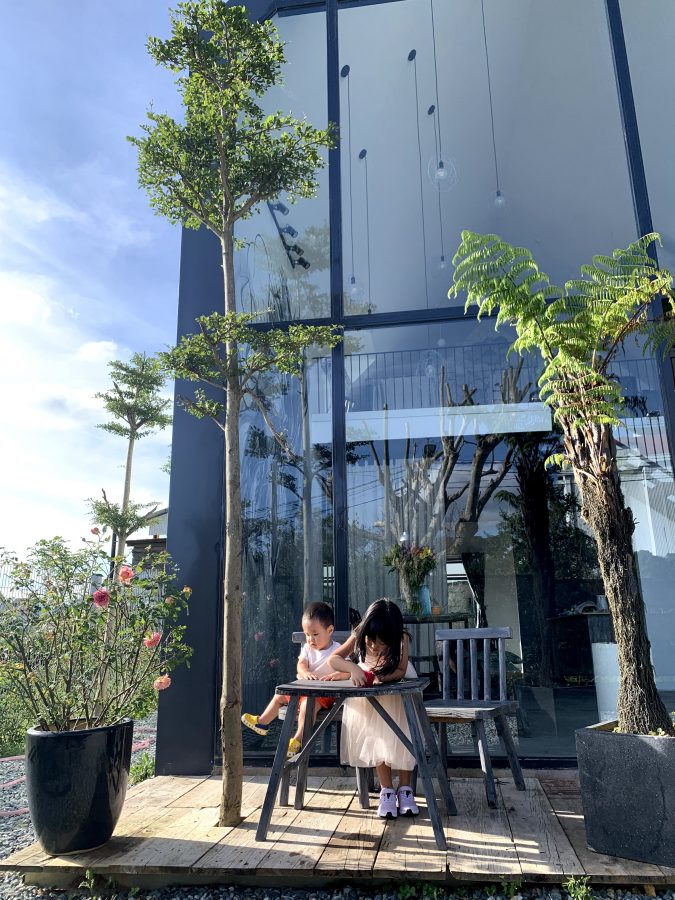 Vườn nhỏ quanh nhà trồng đầy hoa hồng