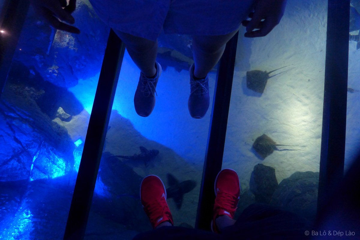 Sea Aquarium