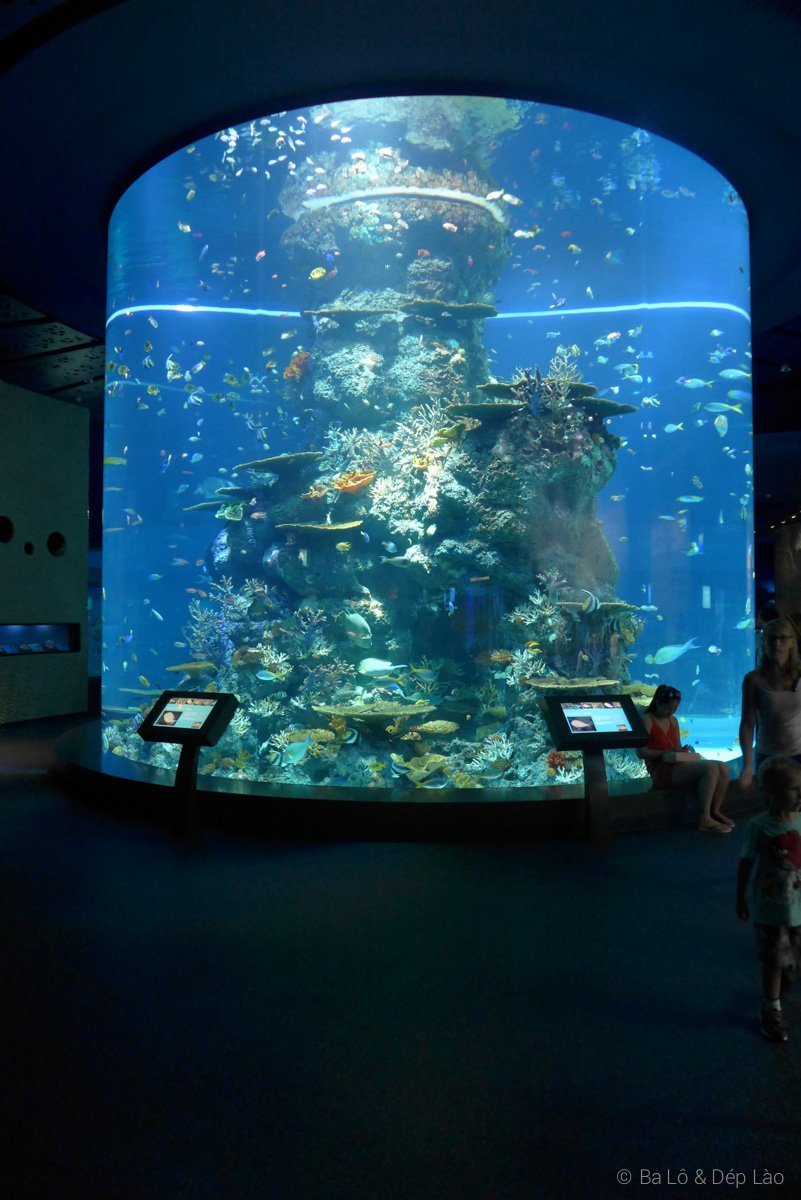 Sea Aquarium