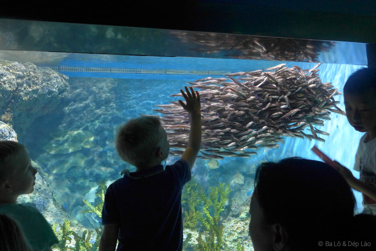 Sea Aquarium