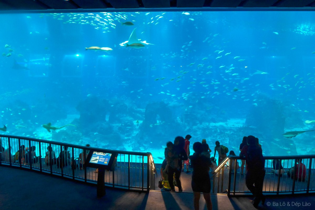 Sea Aquarium