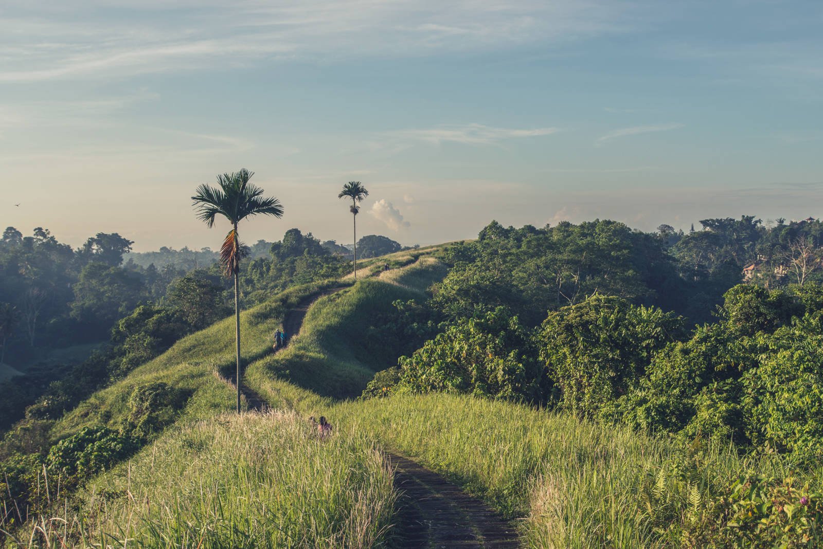 Ẩm thực Bali - Thiên đường ẩm thực đầy sắc màu