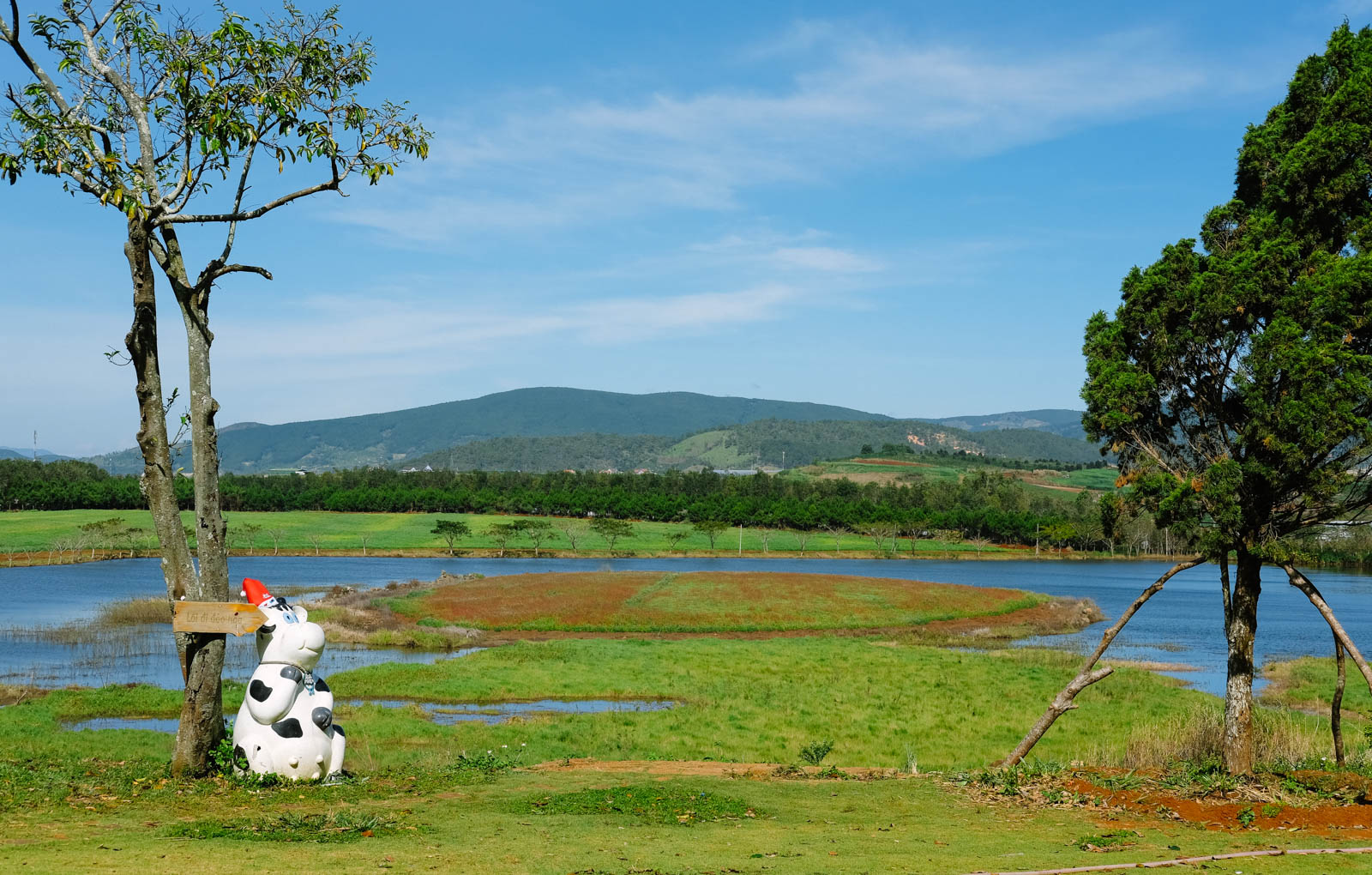 Dalat Milk Farm