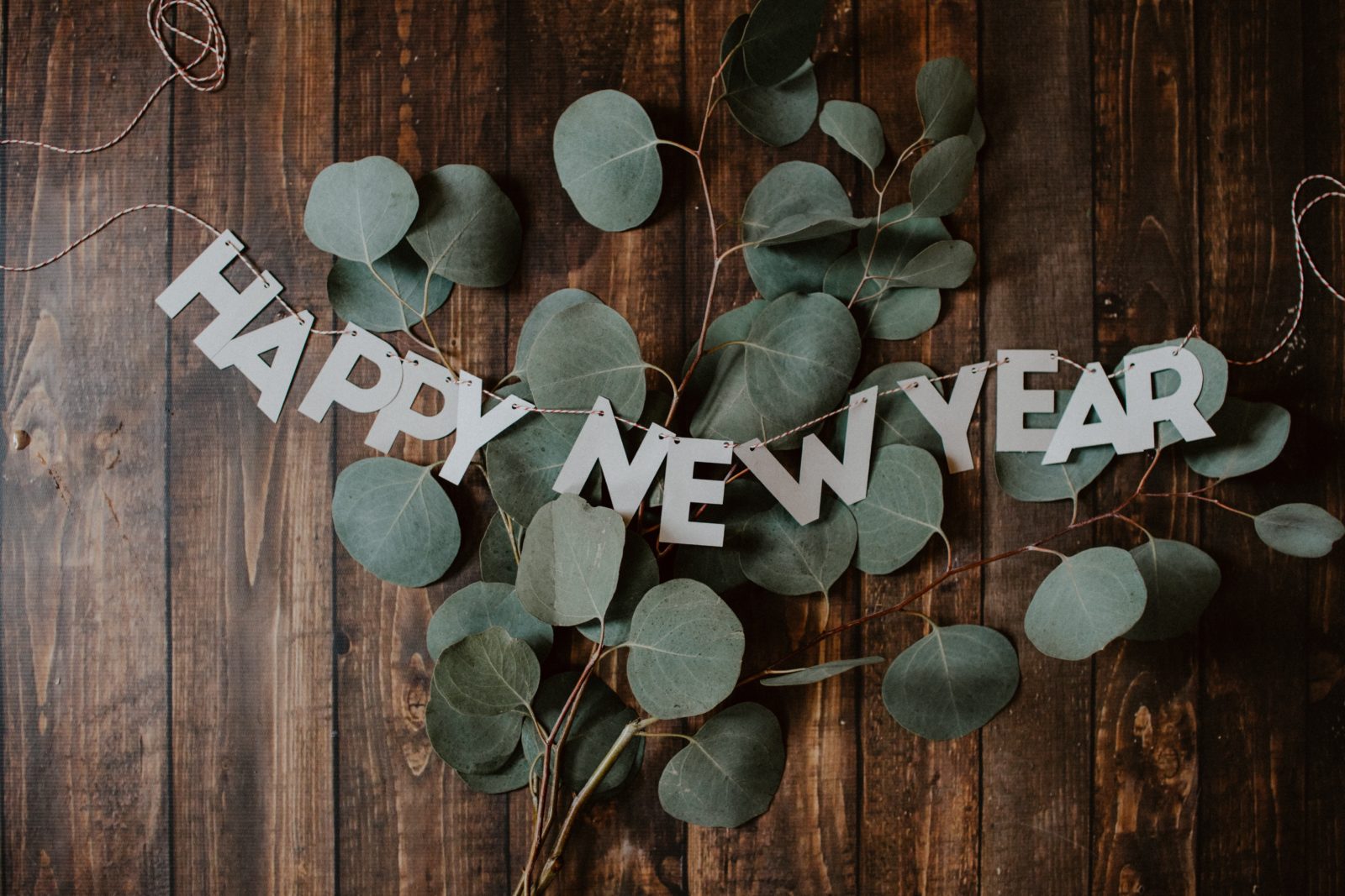 Chúc mừng năm mới 2020 - Tổng kết 2019 Một năm đời thường đáng nhớ của BLDL