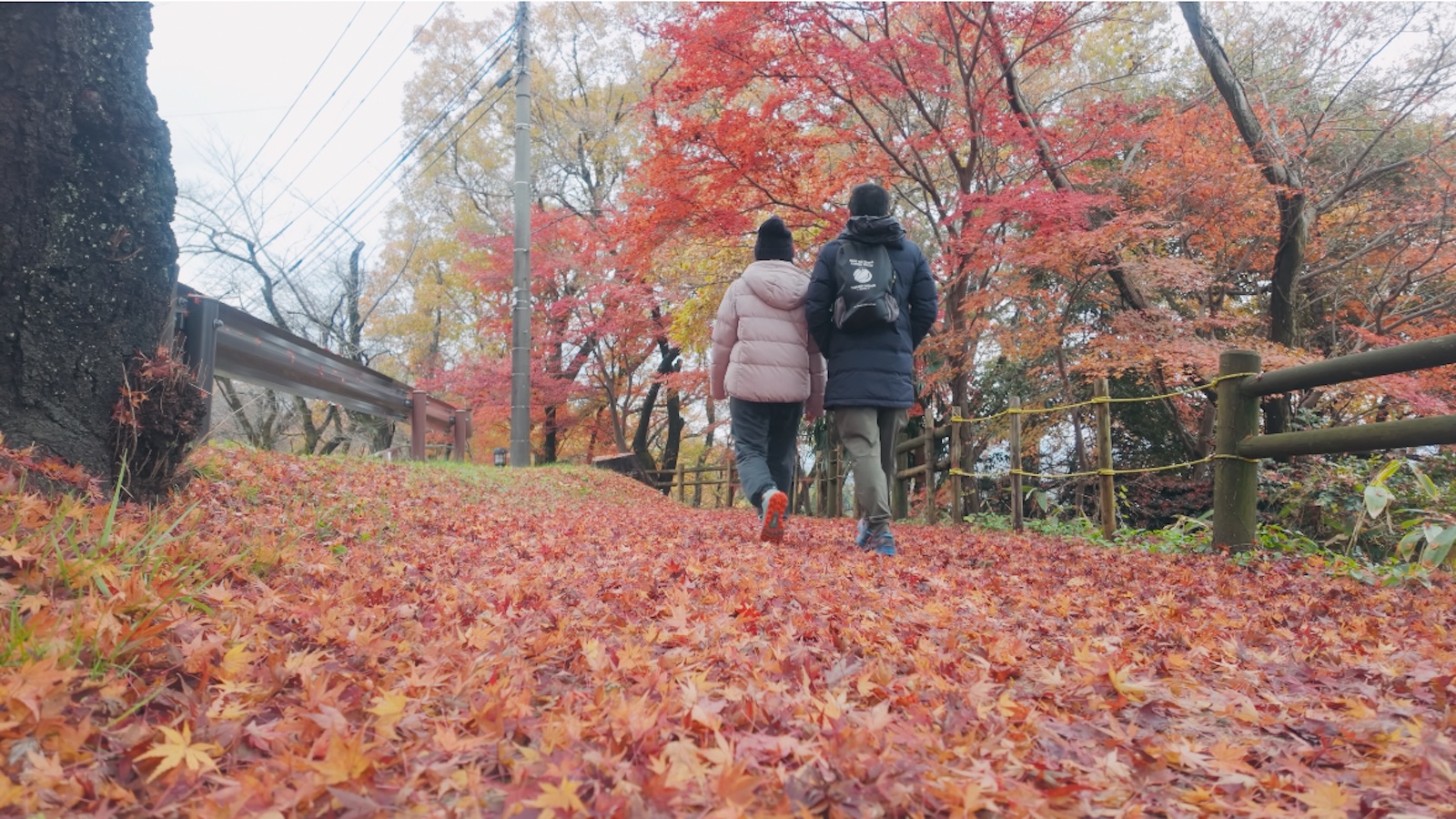 [Cuộc sống ở Nhật] Leo Núi Ngắm Lá Mùa Thu 🍁 | Thăm Bảo Tàng Gốm & BBQ Ấm Cúng tại nhà