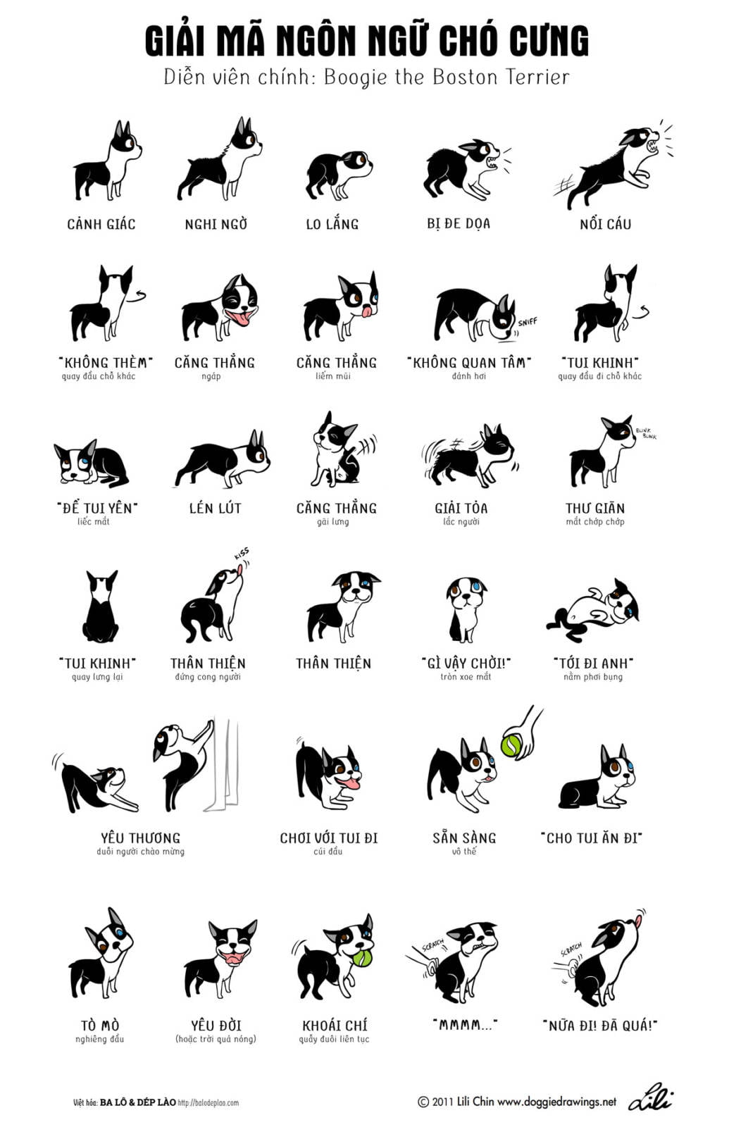 [Infographic] Giải mã ngôn ngữ của chó cưng