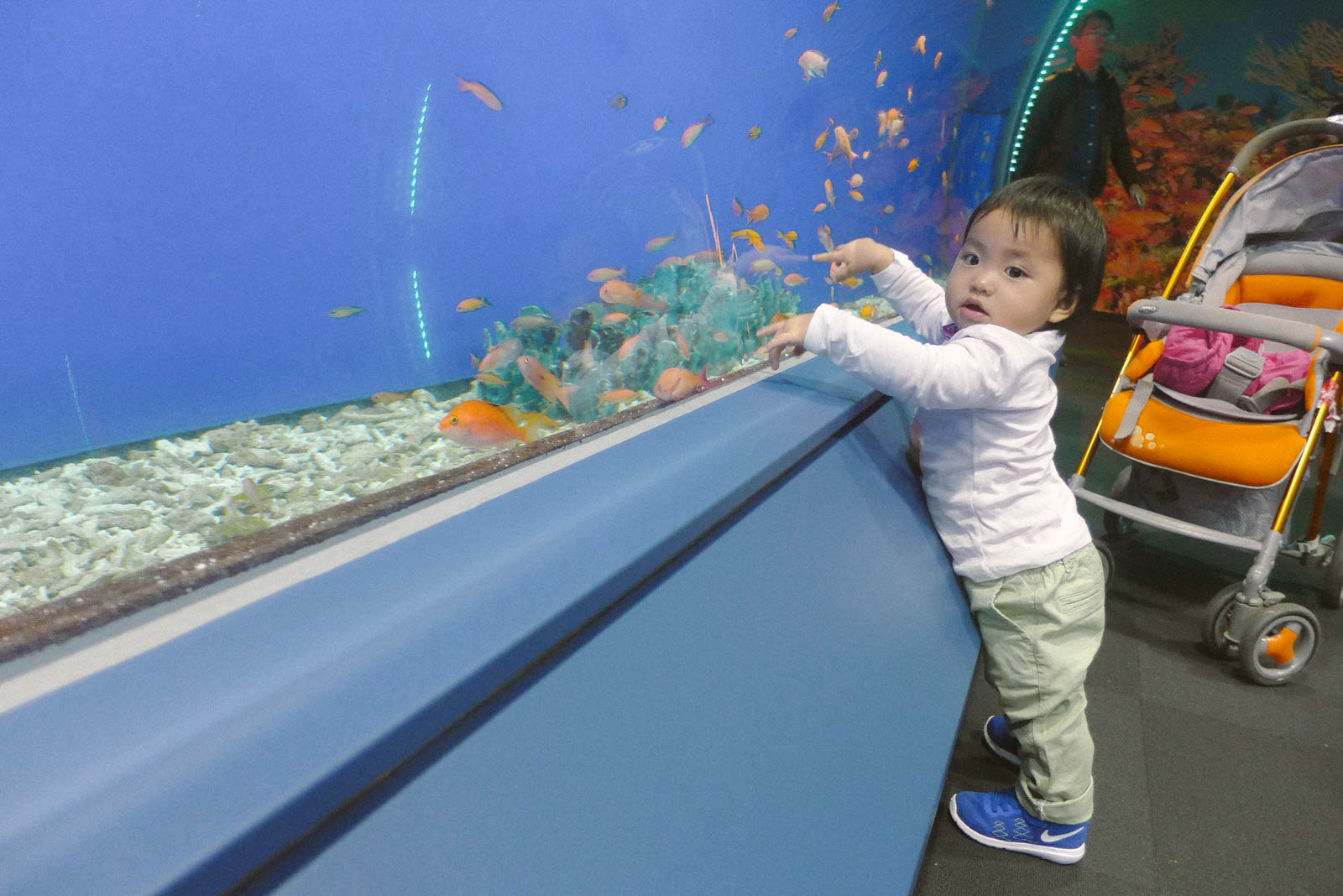 Osaka Aquarium Kaiyukan là một trong những địa điểm Silk mê tít nhất trong suốt chuyến đi Nhật