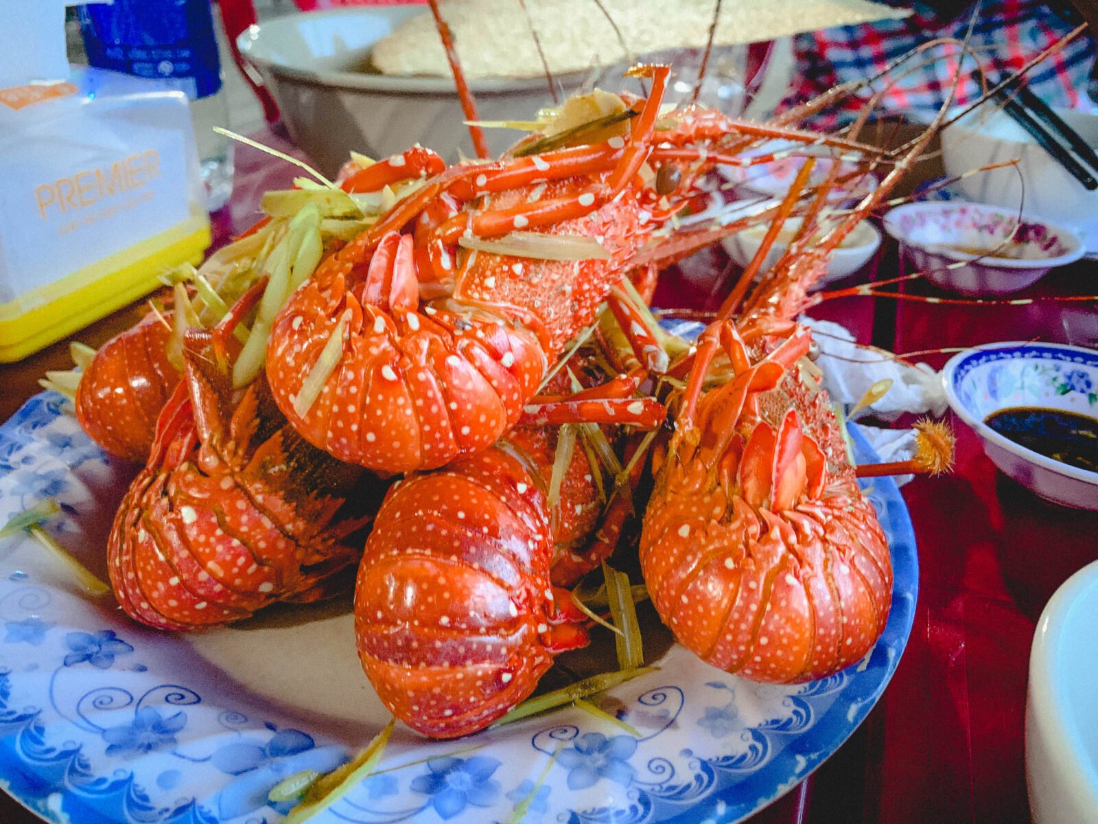 [Ẩm thực Phú Yên]: Hải sản cực tươi - cực rẻ