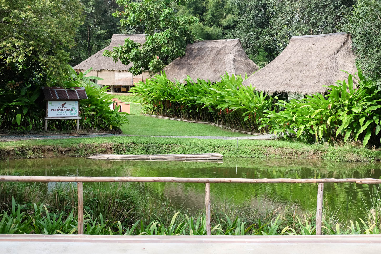 Du lịch Chiang Mai - Độc đáo với công viên giấy từ phân voi POOPOO Paper Park