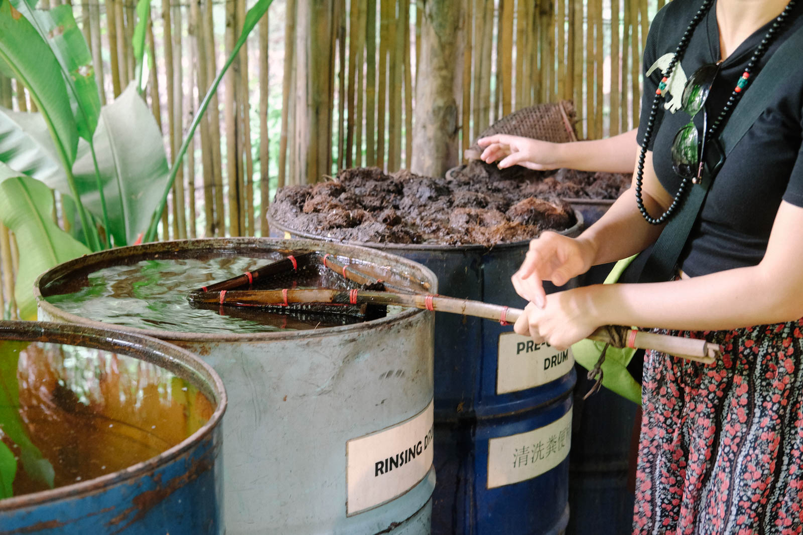 Lọc phân voi qua nhiều lần nước