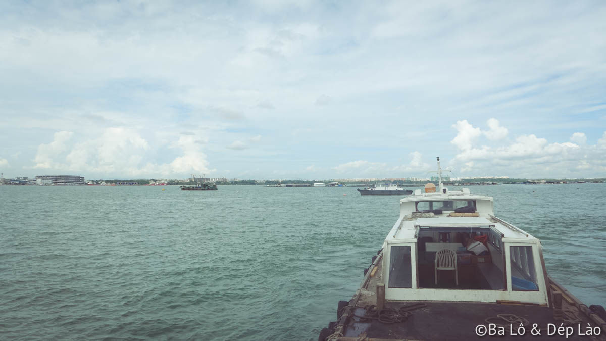 Phà đưa du khách đến đảo