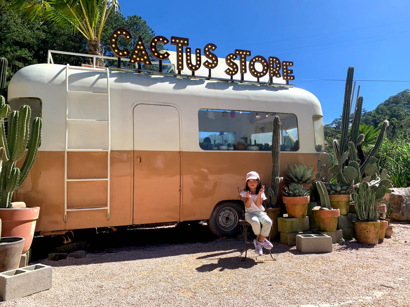 Kombi Land Coffee Đà Lạt chỉ nên biết không nên đi